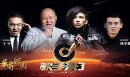 歌手来了在线观看,音乐盛宴，星光熠熠