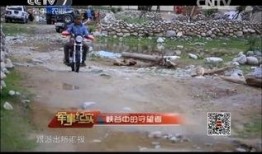 新疆爆料视频最新,揭秘背后惊人内幕