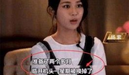 杨紫爆料娱乐圈视频