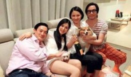 广东夫妇爆料新闻事件,揭露惊人真相，引发社会关注
