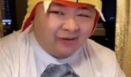 老狗爆料辛巴视频播放,老狗爆料背后的真相揭秘