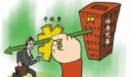 史上最新爆料小绿屋是谁,史上最新爆料，小绿屋究竟是谁？