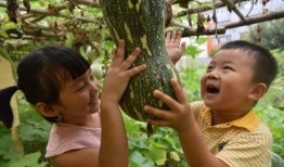 最新校园瓜爆料,揭秘最新校园瓜爆料背后的真相