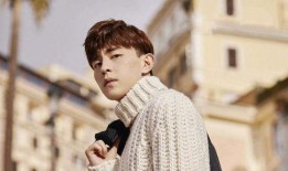 娱乐爆料晏紫东视频播放,娱乐爆料引网友热议