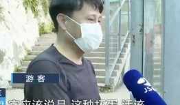 郑工校园帮网红吃瓜,揭秘网红吃瓜背后的故事