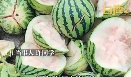 最新校园瓜爆料,揭秘最新校园瓜爆料背后的真相