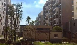 豹女新皮肤爆料视频网页,炫酷造型与神秘背景揭秘