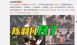 桃式技能爆料视频,揭秘神秘技能背后的秘密与魅力