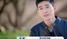 张翰孟子义圈内爆料,张翰孟子义爆料引发热议