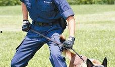 巴打警犬在线观看,忠诚守护，智慧追踪