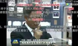 河池市网友爆料新闻视频,惊现新闻视频，揭秘事件真相！