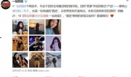 湾仔码头爆料事件视频播放,湾仔码头爆料视频播放引发热议