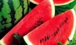 西瓜热门爆料视频大全,揭秘娱乐圈最新动态