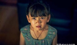 真言夫妇爆料是真的吗视频,事实真相大起底