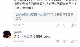 冰心爆料仙某某视频,揭秘娱乐圈背后的真相