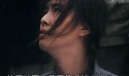 王宝强工友爆料视频大全,揭秘娱乐圈背后的真实故事