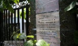 违建可以作为新闻爆料吗,揭开城市乱象背后的真相