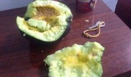 网红前十名吃瓜主播有哪些,盘点前十名吃瓜主播风云录