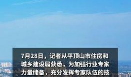 平顶山今日头条最新爆料,揭秘重大事件背后真相
