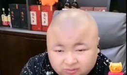 老狗爆料辛巴视频播放,老狗爆料背后的真相揭秘