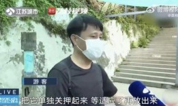郑工校园帮网红吃瓜,揭秘网红吃瓜背后的故事
