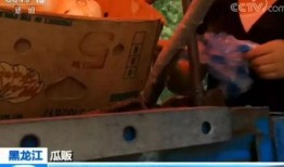 嘎嘎吃瓜的视频免费观看,免费观看热门视频，揭秘娱乐圈幕后故事