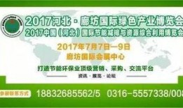 热点最新爆料新闻内容,最新爆料揭露惊天秘密，事件真相令人震惊！
