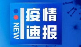吉林最新爆料新闻
