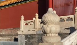 故宫最新爆料视频,最新爆料视频带你穿越千年古建魅力