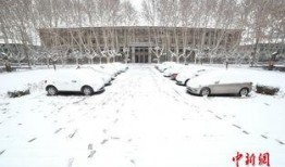 西安爆料大雪视频大全集,视频大全集带你领略冬日美景