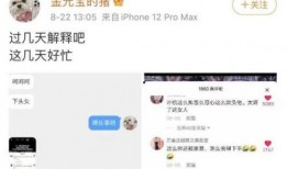 许凯前任爆料视频,背后真相令人震惊