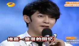 娱乐圈爆料维嘉,维嘉新恋情曝光，神秘女友身份引热议