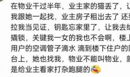 可以免费吃瓜的QQ群,揭秘热门“吃瓜QQ群”的魅力