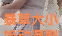 小姐 在线观看,揭秘神秘女性的情感纠葛