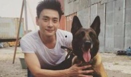 巴打警犬在线观看,忠诚守护，智慧追踪