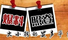 当地新闻爆料电话,揭秘当地新闻爆料电话背后的故事