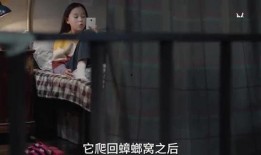 台湾姐姐爆料视频,视频内容引发热议