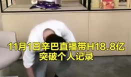 网友爆料辛巴假燕窝视频,网友曝光惊人视频揭露真相