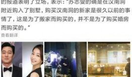 烛子塌房爆料视频播放全集,揭秘视频全集背后的惊人真相