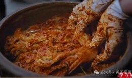 四川酸菜的爆料视频下载,独家爆料视频深度解析