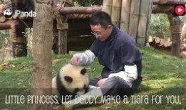 虞姬新皮肤爆料视频下载,华丽舞者，翩翩起舞，惊艳亮相