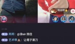 北京王哥爆料事件真相视频,真相视频曝光背后的真相