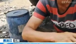 嘎嘎吃瓜的视频免费观看,免费观看热门视频，揭秘娱乐圈幕后故事