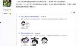 娱乐圈爆料王卓伟,揭秘明星幕后故事