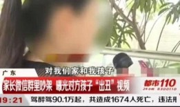 贵阳陈姓家长爆料视频大全,揭开教育乱象背后的真相