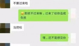 吃瓜群众聊天记录免费下载安装,免费下载安装背后的故事