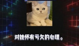 吃瓜娱乐八卦最新,最新八卦爆料，揭秘明星幕后故事