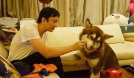 娱乐狗子爆料都是真的吗,真相还是谣言？