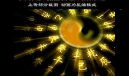 八卦原创爆料短视频大全,精彩瞬间大盘点