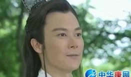 王灿演员爆料最新视频播放,揭秘娱乐圈不为人知的一面